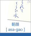 朝顔