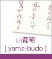 山葡萄