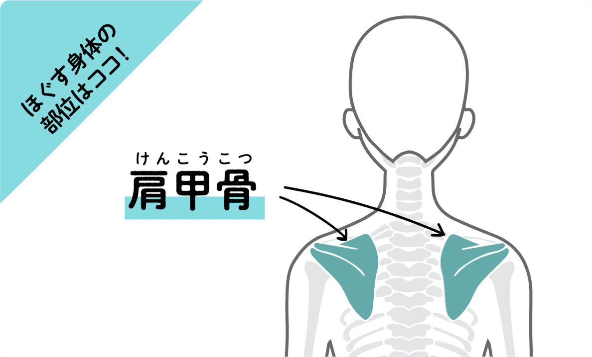 背中にある「肩甲骨」を示した図